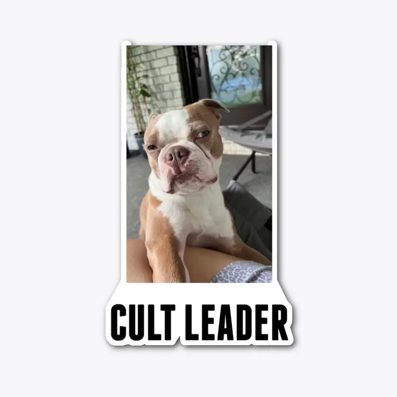 Cult Leader